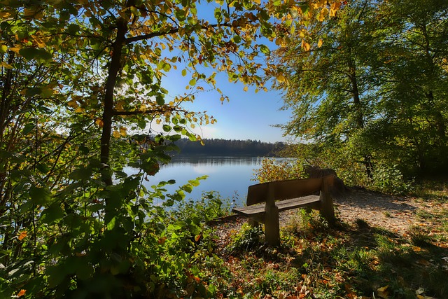 平无可争议 平无可争议