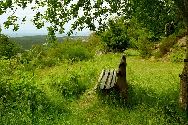 的几个关键 的几个关键