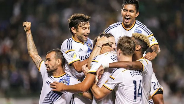 有活力的球 有活力的球