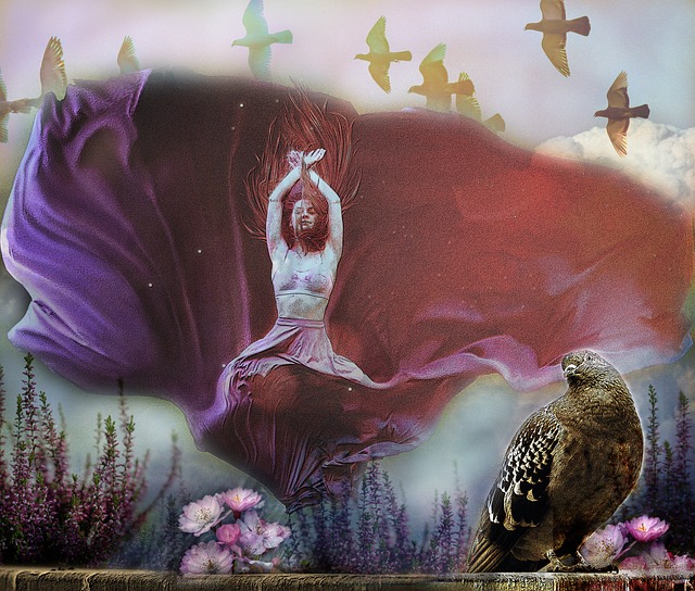 这一评价无 这一评价无